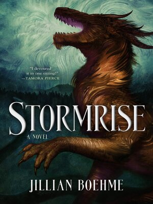 cover image of Stormrise